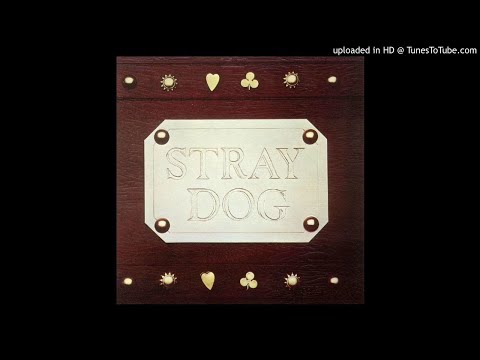 Stray Dog -Tramp (How It Is)