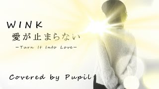 【歌詞つき】愛が止まらない（WINK）Covered By Pupil