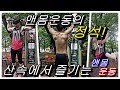 [효구형][계정숲] 산속에서 즐기는 맨몸운동 턱걸이, 딥스, 머슬업 운동의 정석!
