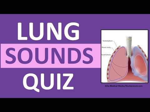 Lung Sounds Quiz NCLEX Review Crackles, Wheezes, Stridor, Pleural Friction Rub