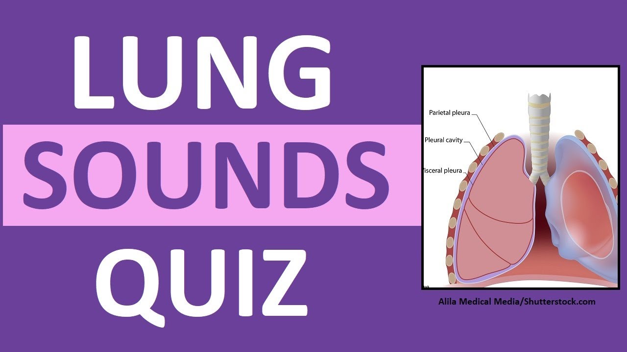 Lung Sounds Quiz NCLEX Review Crackles, Wheezes, Stridor, Pleural Friction Rub