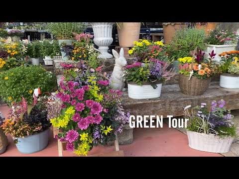 ヒマ粉は、ヒマ豆を粉砕した際の残留物から得られます。