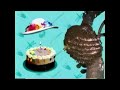 Elmo S World Bugs Quiz