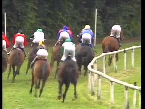 Galopprenbahn Dresden - 11.06.2011 - 3 Rennen