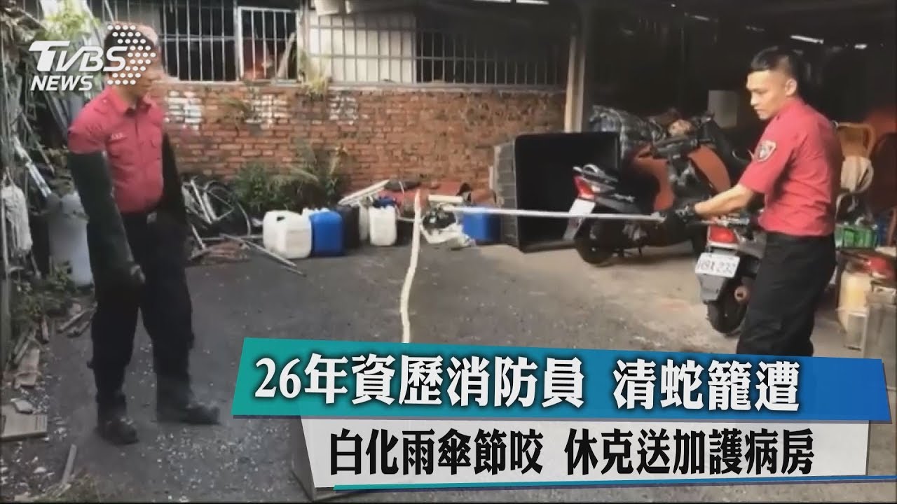 26年資歷消防員清蛇籠遭白化雨傘節咬 休克送加護病房