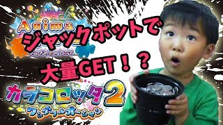 アニマロッタとカラコロッタで大フィーバー！【れんチャンネル♡Ren Channel 】