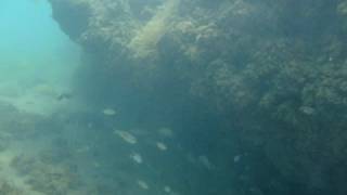 preview picture of video 'Vasto fondo marino, al campeggio Grotta del Saraceno.'