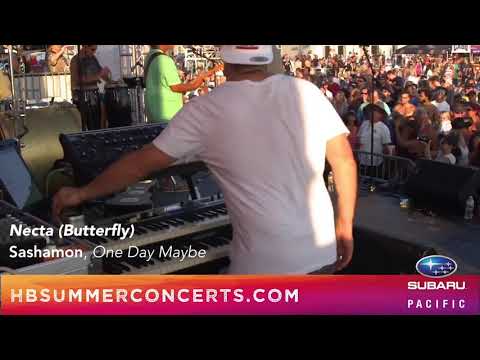 Sashamon at Hermosa Beach