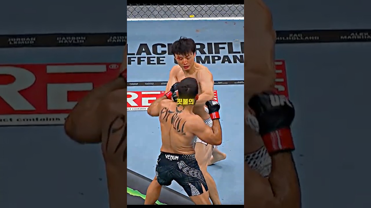 오늘은 슬픈 날이다.. 최두호 vs 핏불 경기 결과
