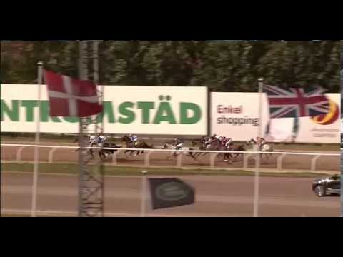 Ragazzo 2. i Zawawi Cup (Gr3) 11.08.2013