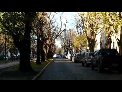 Así levantan los adoquines en 13 entre 59 y 60