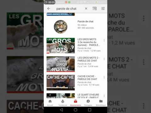Paroles de chat les gros mots 2
