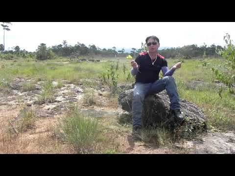 Maim lis.tshuav koj daim duab. 15/10/2020