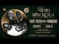 DJ Tokzen Mmthi Live LumoLounge