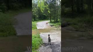 Download lagu Fuck You Tonyππ #Shorts mp3 Download lagu Fuck You Tonyππ #Shorts mp3