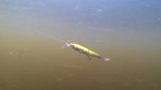 Воблеры imakatsu power bill minnow