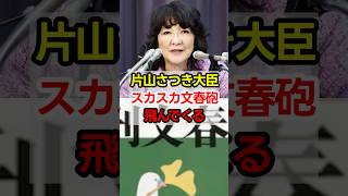 片山大臣に文春砲‼︎どうでもいい報道で政治を止めるな#高市政権 #片山さつき #政治 #shorts