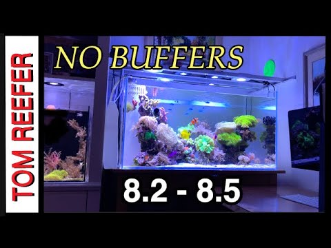 How To Raise PH In Your Reef Tank ( WITHOUT ANY BUFFERS)