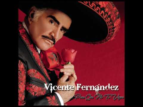 Para Que No Te Vayas - Vicente Fernandez (Audio HQ)