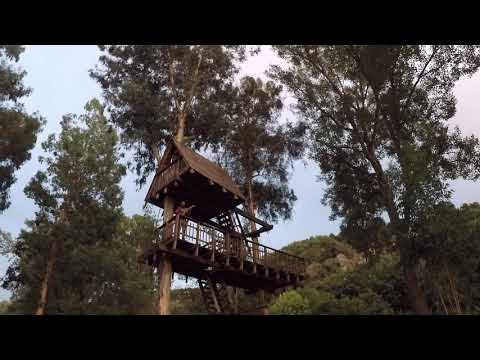 377 project - Live at the Tree House (Allai)