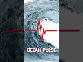 Ocean Pulse |  Is the US Authorizing Overfishing? #oceannews