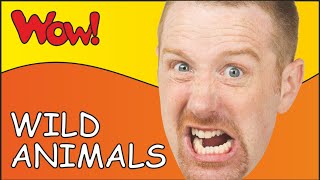 Steve and Maggie Racing throught a Wild Animal Safari | Learn English Kids in English funny stories