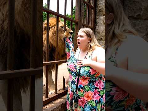 A lion attacked a woman and tore her clothes. #wildlife #usa #nature #cat #zoo #manvsanimal
