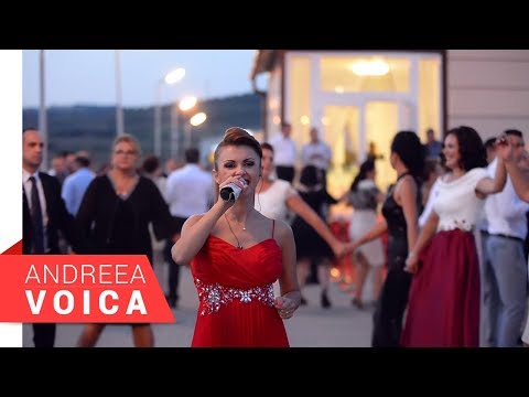Andreea Voica - Nunta David & Alina (Live Moldova Noua)