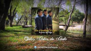 Ojitos Color de Cielo (Audio)