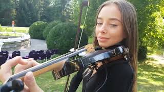 Amadeus Electric Quartet - La Soledad - Pink Martini