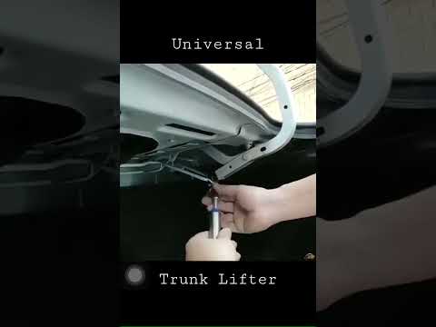Universal car trunk lifter installation