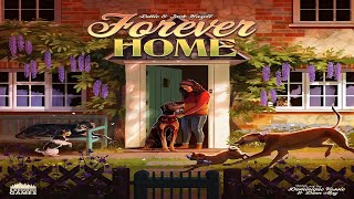 Forever Home: Discussion