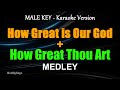 How Great Is Our God How Great Thou Art MEDLEY MALE KEY KARAOKE VERSION Praiseandworship