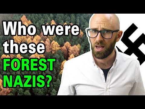 The Mystery of the Forest Swastika and the Origin of the Symbol