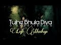 Tujhe Bhula Diya - Lofi Mashup | Slowed+Reverb | Female Version