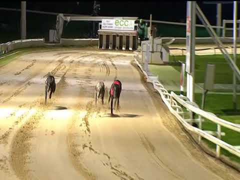 2017 STAR SPORTS SHOOTOUT - T1 DOROTAS WILDCAT