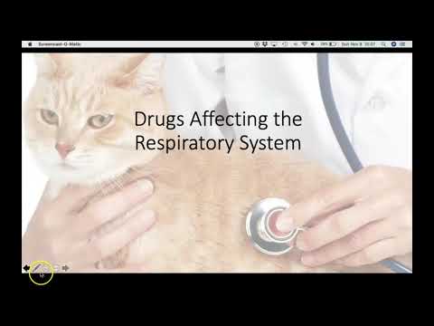 Respiratory Drugs (VETERINARY TECHNICIAN EDUCATION)
