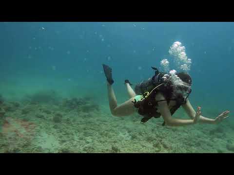 Beginner divers prepping gear on Rainbow Scuba Hawaii’s boat leaving Kewalo Basin, Honolulu