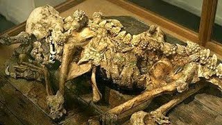 Dragon human hybrid, Nephilim: Preflood fallen angel breeding?