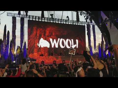 Wooli w/Datsik @ Lost Lands 2017