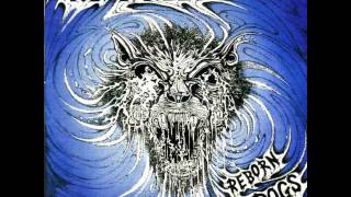 Holy Moses - Reborn Dogs