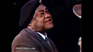 Roosevelt Sykes - 'Running The Boogie' live [Colourised] 1966