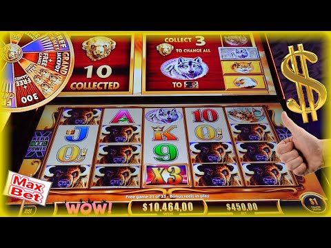 💵Wow! New Record-Breaking Jackpots! in High limit at Buffalo Gold Revolution Slot