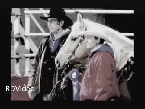 RDVideo - JR SIERRA LENA - Quarter Horse stallion - video promozionale/promotional video