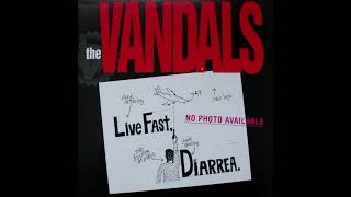 The Vandals – Ape Shall Never Kill Ape (Vinyl Rip) HQ