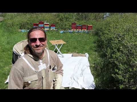 Rädda ett puckelsamhälle