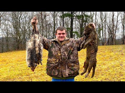 I've been trying to trap this animal for 6 years...