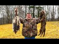 I Ve Been Trying To Trap This Animal For 6 Years
