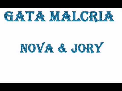 Gata malcria - Nova & Jory (Farramedellín)