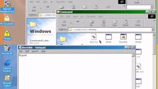 Trojan Horse (Windows): Frog.a